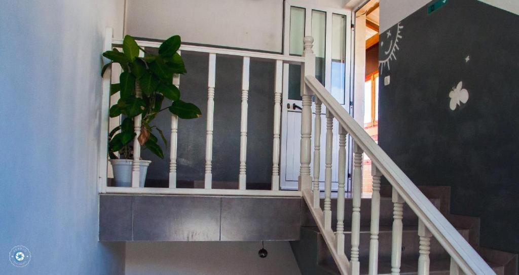 Kolina D'Sol Bed & Breakfast Ponta Do Sol Exterior photo